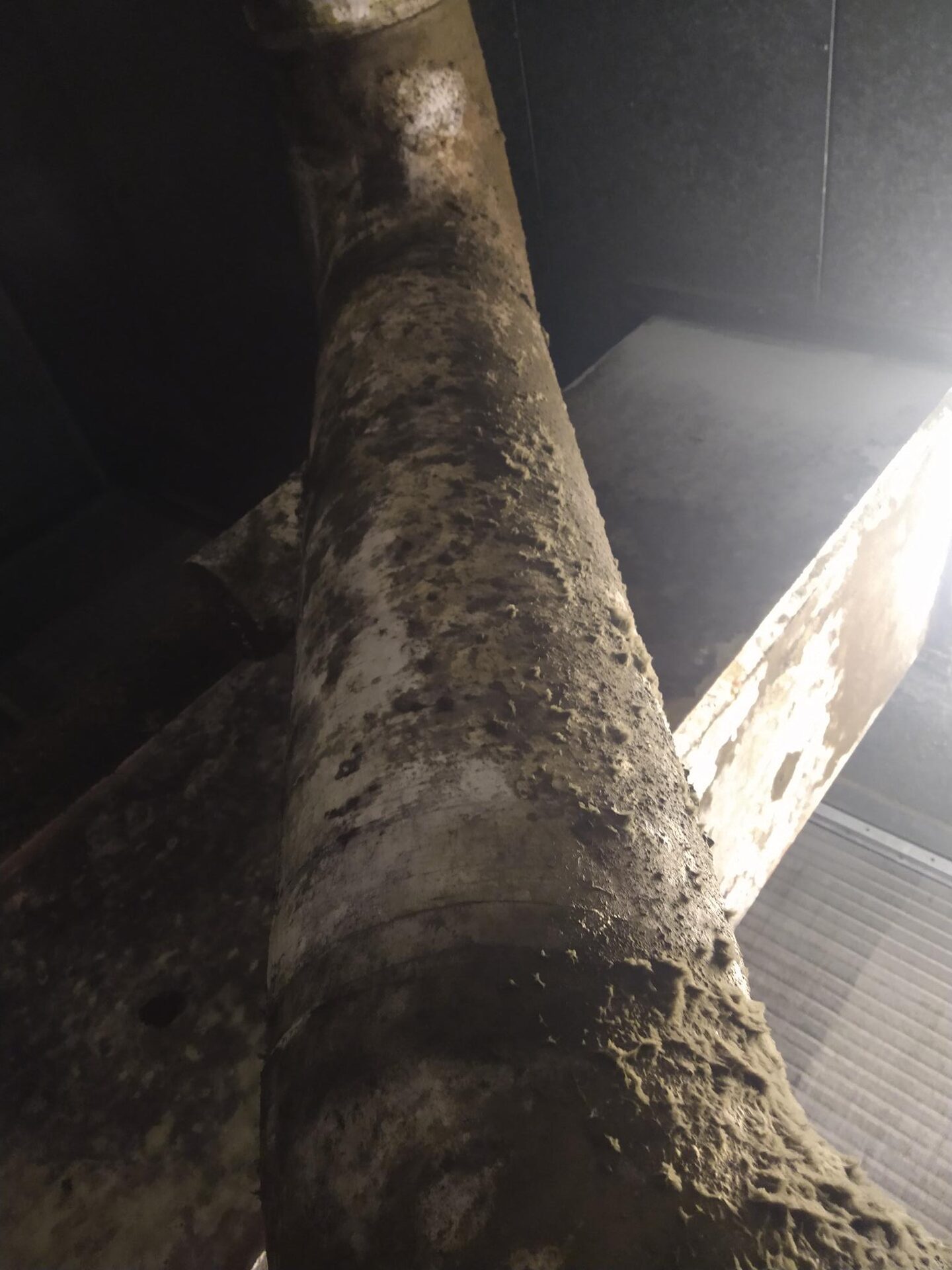 Mold growth on insulated piping in a commercial mechanical room