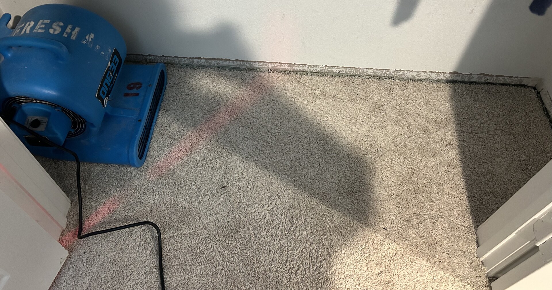 Fresh Air air mover drying carpet in a closet with the baseboard removed