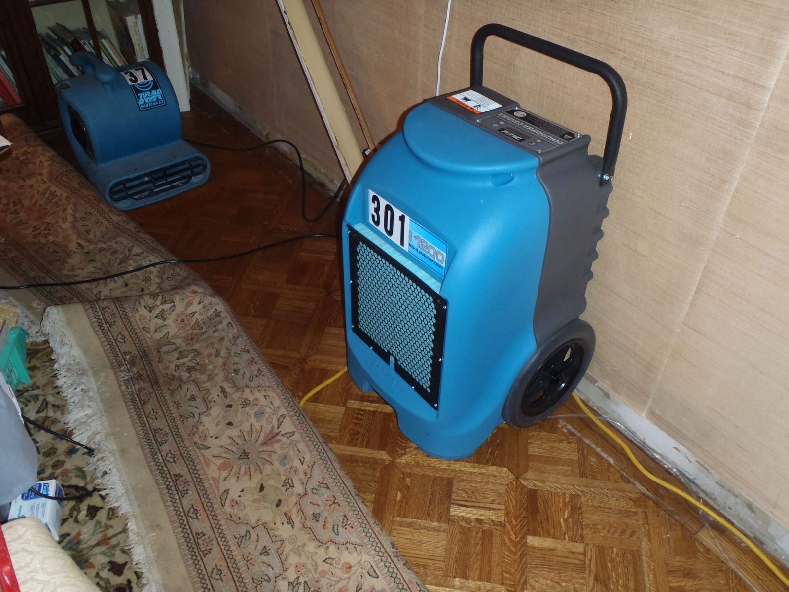 Dehumidifier drying a hardwood floor and rug