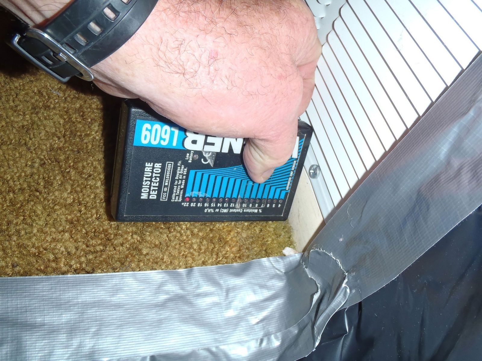 Moisture meter reading taken at the edge of wet carpet